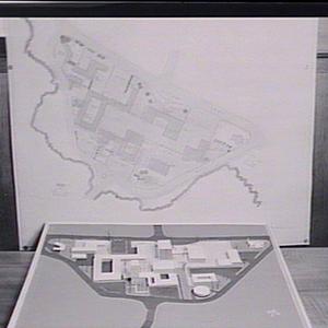 Models of Hoxton Park