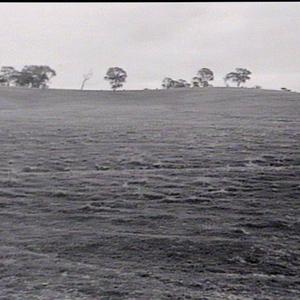 Albury & Wagga Wagga Districts
