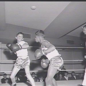 AWB NSW Junior Amateur Boxing semifinals