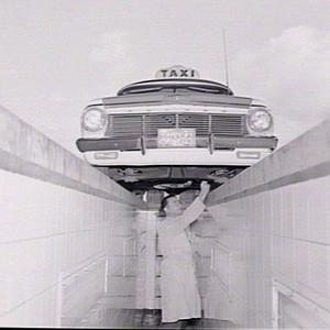 Department of Motor Transport