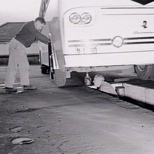 Department of Motor Transport