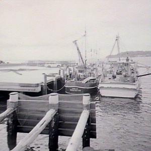 Fishermen's Wharf, Nelson Bay