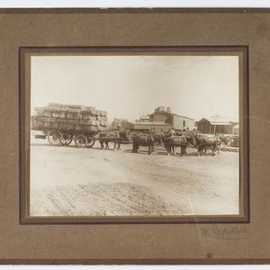 Photograph of Griffith Morris Jones on a dray hauling h...