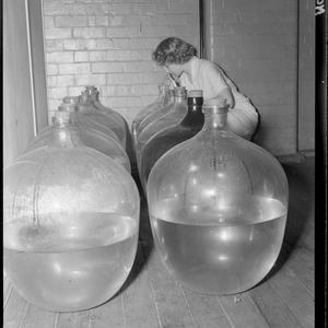 File 01: Carboys at dissolved vaccines, [ca 1942-1943] ...