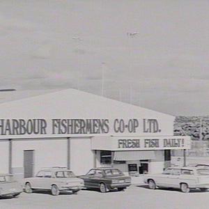 Coffs Harbour boat harbour