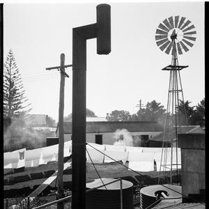 File 40: Backyard at Forster, 1940s / photographed by M...
