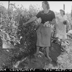 Italian community, September 1957 / photographs by R. D...