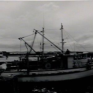 Fishermens Wharf - Nelsons Bay