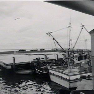 Fishermens Wharf - Nelsons Bay