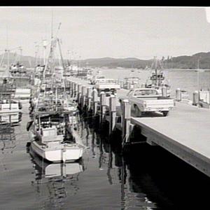 Fisherman's wharf, Eden