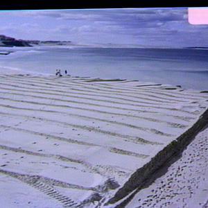 Cronulla Beach restoration