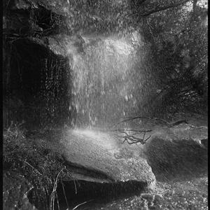 File 31: Frenchs Forrest waterfall, 1941 / photographed...