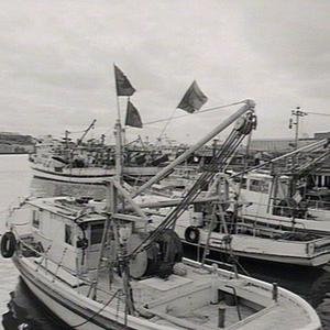 Italian fishing fleet, Fish Markets