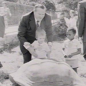 State wards' visit to Taronga Park Zoo
