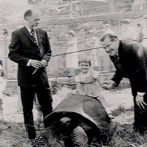 State wards' visit to Taronga Park Zoo