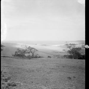 File 40: South Coast landscape, Illawarra, 1940s / phot...
