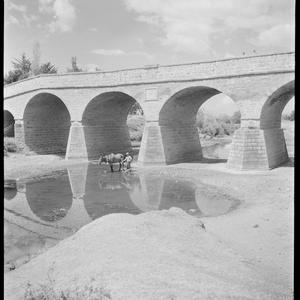 File 01: Richmond Bridge, Tasmania, 1946 / photographed...