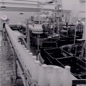 Carton and bottling operations at Dairy Farmers, Lidcom...