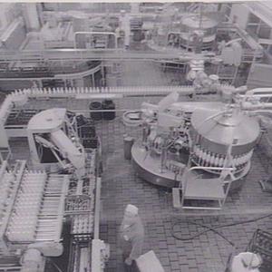 Carton and bottling operations at Dairy Farmers, Lidcom...