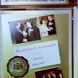 Development Ambassador 1985 presentation