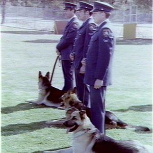 Passing out parade for Depts new 'sniffer' dogs and han...