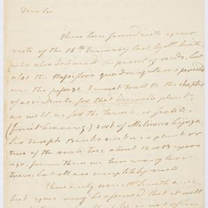 Series 20.55: Letter received by an unnamed corresponde...