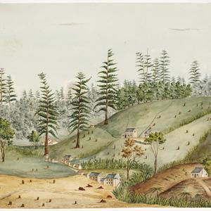 [A view of Queenborough on Norfolk Island / attributed ...