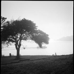 File 21: Sydney, parks and gardens - early morning, [1930s-1940s] / photographed by Max Dupain