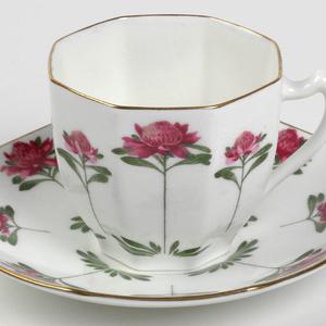 Miles Franklin's waratah cup and saucer