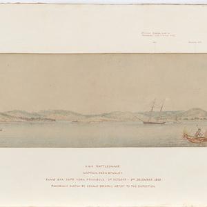 H.M.S. Rattlesnake / Captain Owen Stanley / Evans Bay, ...