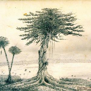 Australian sketches, 1840-1845 / Abraham Lincolne