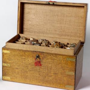 [Gold chest belonging to Thomas Livingstone Mitchell, c...