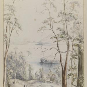  Tasmania and Norfolk Island. A collection of watercolo...