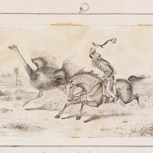 [Hunting the emu in Australia, 1850? / pencil sketch by...