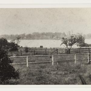 Remains of J. Squire's orchard at Kissing Point, ca. 19...