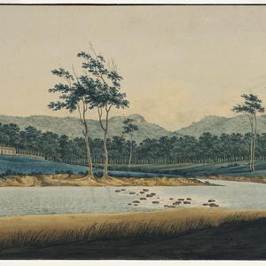 Collection 03: View of part of Hawkesbury River at 1st fall and connection with Grose River N.S. Wales, 1809 / watercolour by George William Evans?