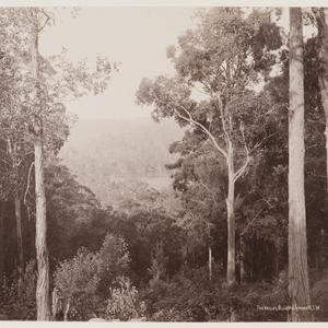 Photographs of Sydney and New South Wales, ca.1892-1900...