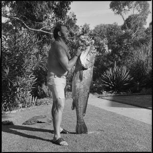 File 03: Blue groper at Kims Camp, 1960s / photographed...