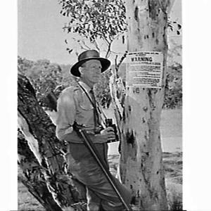 Ranger and trout fishing laws on a eucalypt, Lake Eucem...
