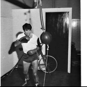 Boxer Rocky Gattellari, Bernie Hall's Gymnasium