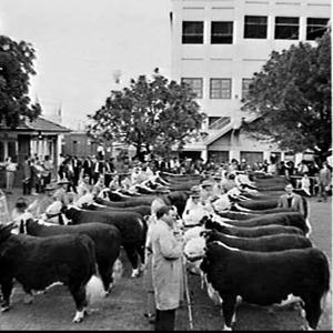 Royal Easter Show 1967, Sydney Showground