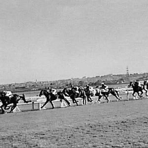 Racehorse Kamikaze in a race, Canterbury Racecourse