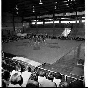 R.A.S.-Shell journalists' tour of rural N.S.W. 1981 to a girls' gymnastic display, Gunnedah Gymnasium, (to prepare them for the Royal Easter Show)