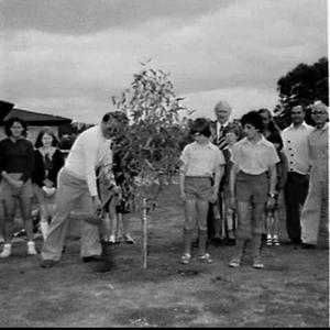 Minister for Education Eric Bedford plants a gumtree at...