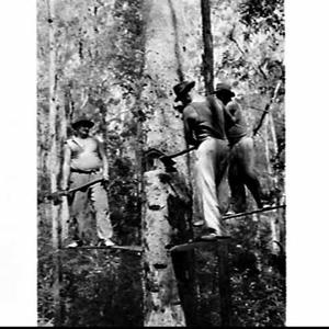 Champion tree-feller and axesman Vic Summers, Gympie