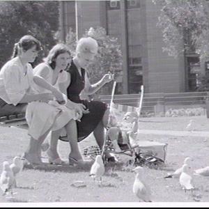 Women with baby on a park bench with seagulls, First Fl...