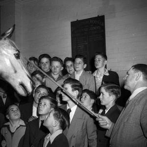 Apprentice jockeys being shown the model horse in the J...