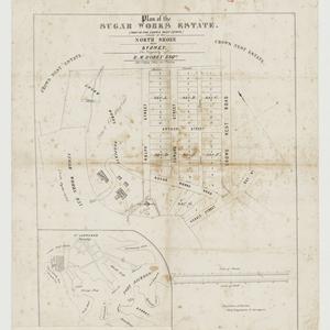 Plan of the Sugar Works Estate (part of the Crows Nest Estate) situate at the North Shore near Sydney [cartographic material] the property of R. M. Robey Esq. / Burrows & Baron, civil engineers & surveyors ; Allen & Wigley, lithog., Geo. St., Sydney.