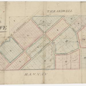 Plan village of Arncliffe [cartographic material]