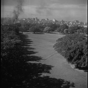 File 05: Sydney, view from Museum, [1930s-1940s] / photographed by Max Dupain